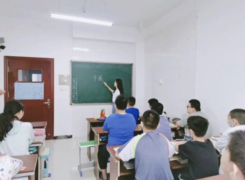 深植中医精神,献力教育关爱 大学 慎思明辨 三下乡服务对暑期在行动