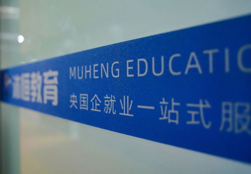 河南沐恒教育 专注央国企求职咨询,赋能大学生高质量就业