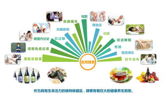 搭建集酵素产品销售 体验 健康管理咨询服务一体化服务平台