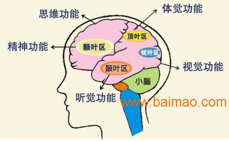 称心的临沂全脑开发就在早尚好学能研究中心 临沭感统,称心的临沂全脑开发就在早尚好学能研究中心 临沭感统生产厂家,称心的临沂全脑开发就在早尚好学能研究中心 临沭感统价格