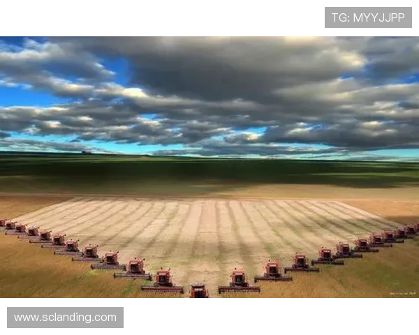 纯情年代:追寻心中的初恋与青春的岁月记忆 纯情年代:追寻心中的初恋与青春的岁月记忆