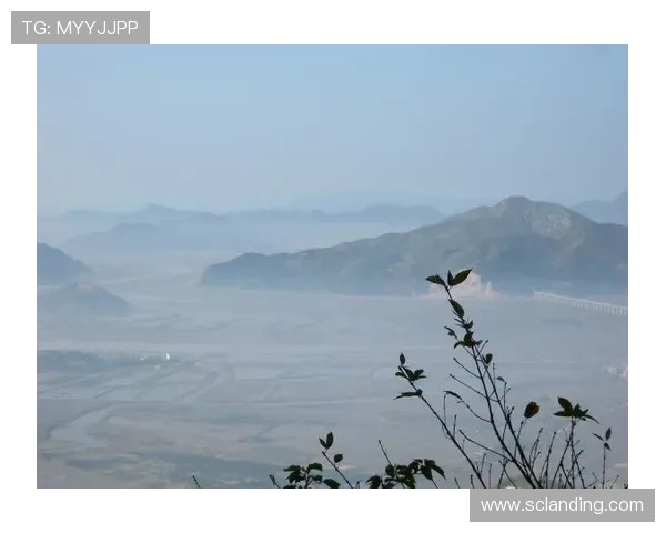 印度娘家情深：跨越山海，心系故园的温情回响