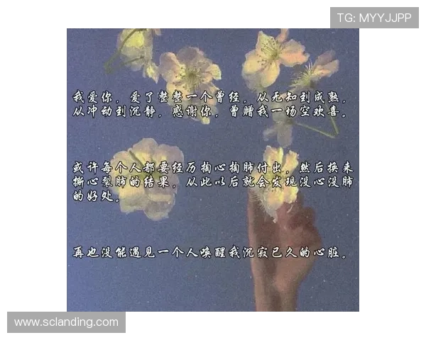 当爱情失去记忆：那些被遗忘的温柔，能否再次唤醒？